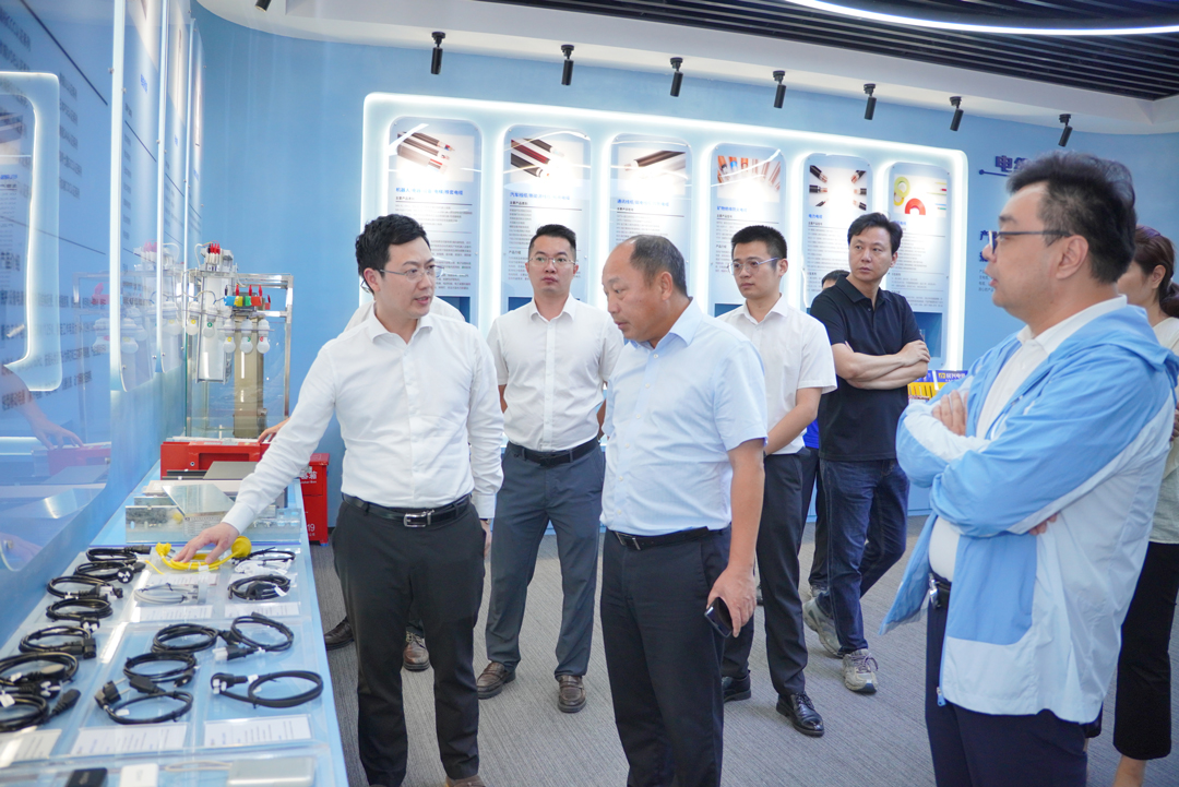 彩运网(中国游) - 官方网站